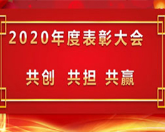 2020安的電子年度表彰大會順利召開 ---“共創(chuàng)，共擔(dān)，共贏”主題演講